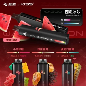 一次性電子煙｜WAGOO 哇酷 × KIS5 雙倉版 - 西瓜冰沙口味